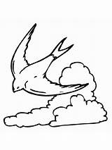 Coloring Pages Swallow Cloud Printable Birds Print Swallows sketch template