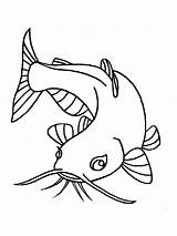 Catfish Channel Drawing Coloring Getdrawings sketch template