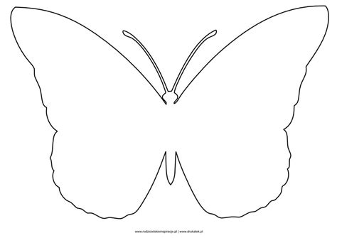 motyl szablon szablony motyli  druku za darmo praca plastyczna