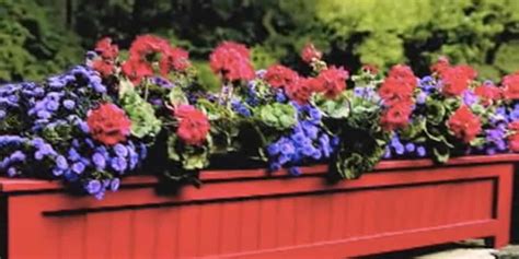 charming flower outdoor planter box brightens   yard