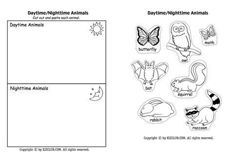 nocturnal animals colouring pages coloring  kids