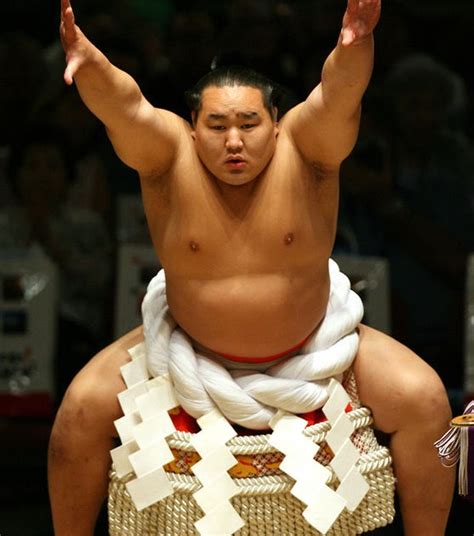 junk foodaholics journey   healthy lifestyle        sumo wrestler