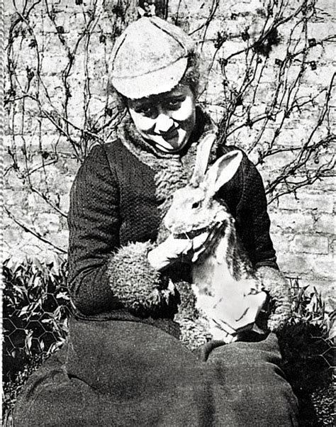 hedgehogs and heartbreak on the 150th anniversary of beatrix potter s