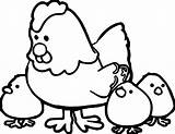 Coloring Pages Hen Family Printable Getdrawings Kids sketch template