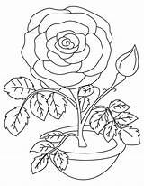 Coloring Rose Valentine Pages Bestcoloringpages Roses sketch template