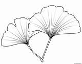 Coloring Leaf Maidenhair Pages Printable sketch template