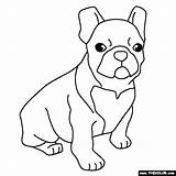 Bulldog Coloring French Pages Puppy Dog Printable Drawing Terrier Boston Color Puppies Animals Dogs Line Draw Bull Bulldogs Thecolor Sheets sketch template