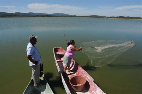 pesca en nicaragua  se recupera