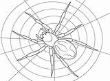 Aranha Aranhas Spider Spinnen Ausmalbilder Spiders Spinne Ausdrucken Webbed sketch template