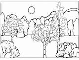 Colorear Arboles Selva Pinos Toamna Wald Paisajes Floresta Ausmalbild Peisaje Colorat Desene Peisaj Malvorlagen árboles Coloringhome sketch template