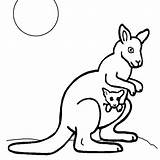 Canguro Canguros Kangaroo Coloriage Imprimir Australia Kangourou Australie Canguri Coloreartv Facile Kangaroos Desenat Planse Cu Saltando Magique Chachipedia Dibujoscolorear sketch template