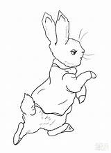 Rabbit Peter Coloring Pages Printable Drawing Mr Garden Jessica Color Mcgregor Roger Beatrix Potter Away Going Into Colour Supercoloring Colouring sketch template