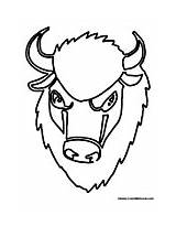 Buffalo Head Coloring Pages Template Bison sketch template