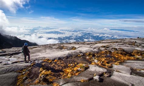 How To Climb Mount Kinabalu In One Day Wanderlust