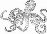 Kraken Zentangle Colouring Doodle Oceanic Antistress Gemt sketch template