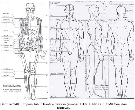 sketsa tubuh manusia ile ilgili goersel sonucu drawing body