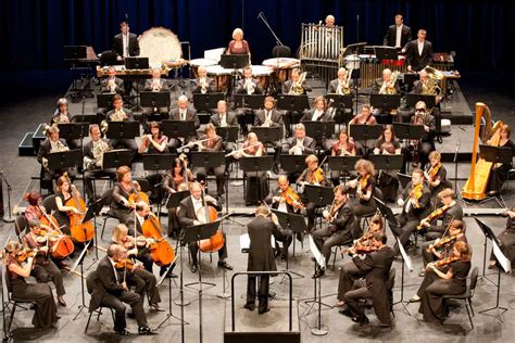 symphony orchestra definition  meaning collins english dictionary