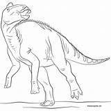 Jurassic Edmontosaurus Kolorowanki Druku Kolorowanka Pterosaurs Rhamphorhynchus Supercoloring sketch template