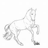 Lineart Realistic Gaited Linearts Yarn Stables sketch template