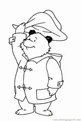 Paddington Bear Pages Coloring Print Colouring Printable Kids Sheets Do Choose Board Sketch Popular Christmas Discover sketch template