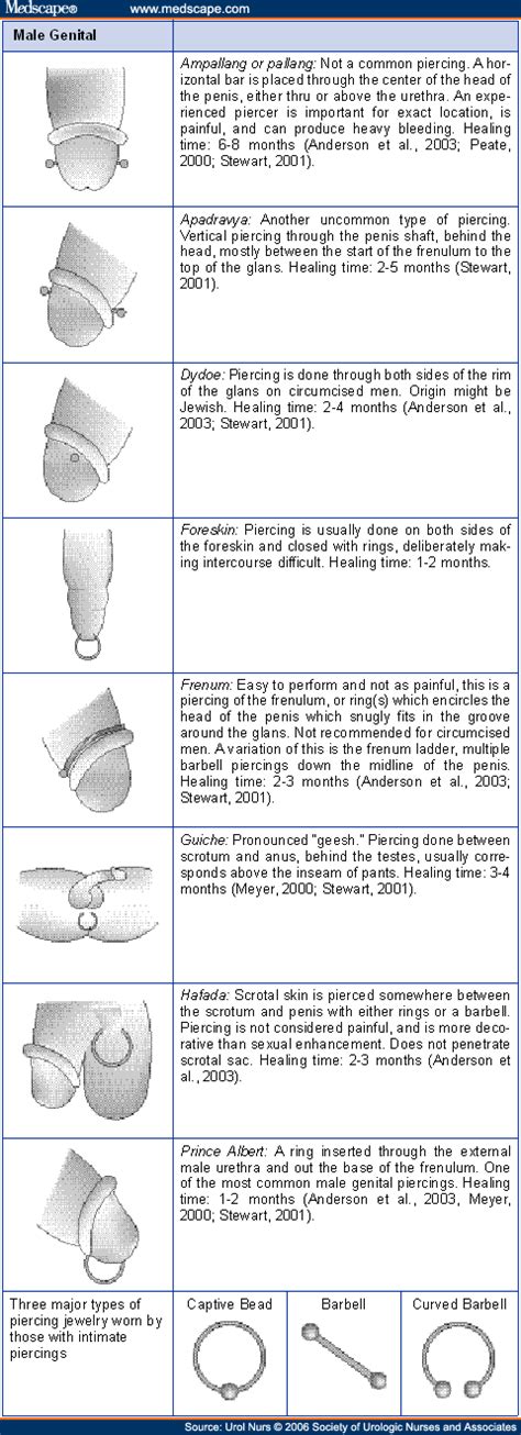 Different Types Of Penis Piercings Full Real Porn