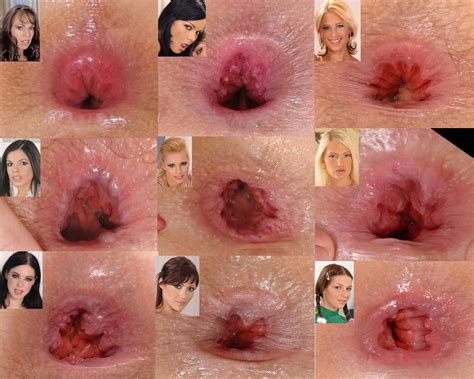 A Collage Pf Porn Star Assholes Can Anyone Name Them