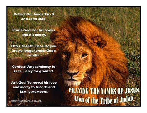 lion   tribe  judah tribe  judah lion  judah jesus images