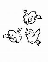 Birds Coloring Bird Pages Sheets Drawing Trio Cartoon sketch template