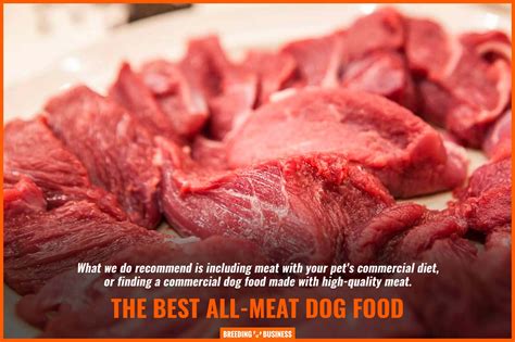 meat dog foods guide benefits risks cost faq