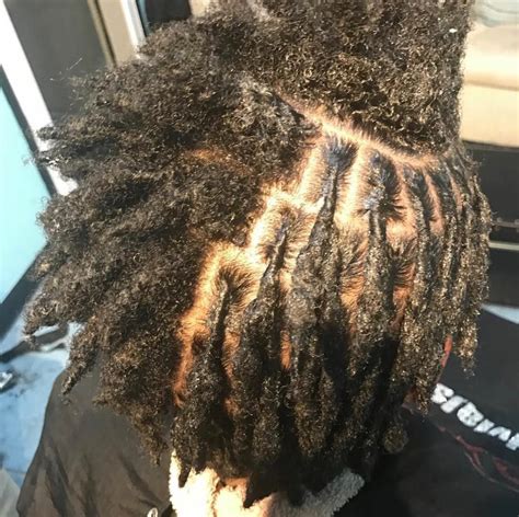 starter locs locs hairstyles natural hair styles natural dreads