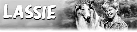 Lassie 1954 News Termine Streams Auf Tv Wunschliste
