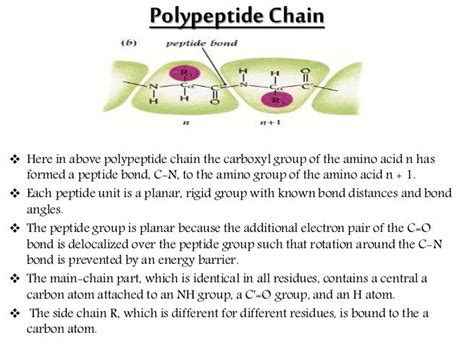 polypeptides