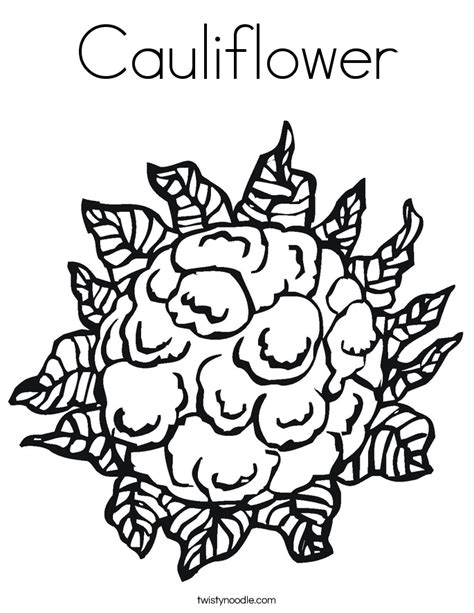 cauliflower coloring page twisty noodle