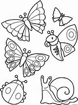Petites Escargot Coccinelle Papillon Betes Stampare sketch template