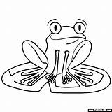 Frog Thecolor sketch template