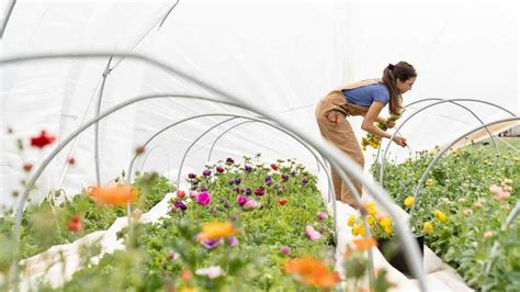 Beneficios De La Jardinería Para La Salud Mejor Con Salud