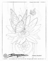 Butterfly sketch template