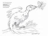 Archaeopteryx Coloring Zoom sketch template
