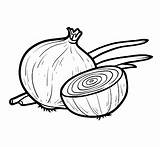 Onion Coloring Book sketch template