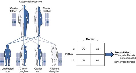 Difference Between Autosomal Dominant And Autosomal Recessive Disorders