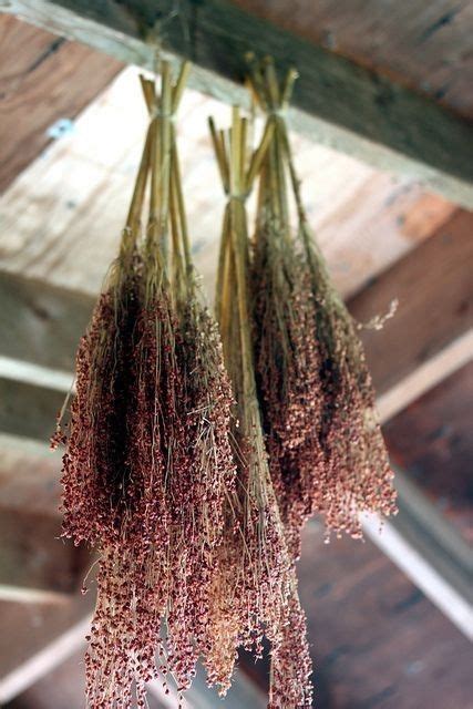 Pin By Geraldine Mcgriff On Erika ☆ Heather Drying Herbs