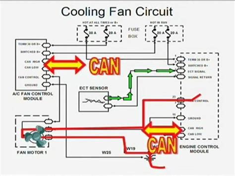 fan control center wiring diagram wiring diagram