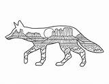 Howling Coyote Coyotes sketch template