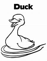 Duck Coloring Pages Kids Printable Cartoon Duckling Clipart Cliparts Color Drawings Ducklings Way Realistic Make Clip Getcolorings Print Getdrawings Library sketch template