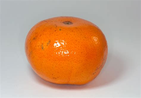 rich  tangerine   net worth roll