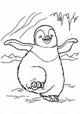 Penguin ähnliche sketch template