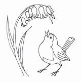 Bird Line Drawing Simple Drawings Birds Flower Embroidery Dessin Single Animals Fleur Easy Flowers Oiseaux Clipart Christmas Fleurs Google Hand sketch template