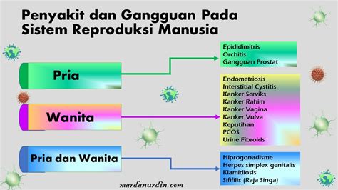mardanurdincom kenali penyakit  sistem reproduksi manusia