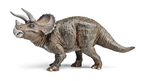 triceratops especies de dinossauros infoescola