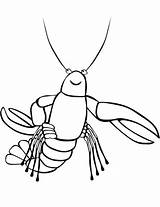 Gambero Crawfish Hermit Simpatico Dzieci Rak Rysunek Crayfish Obraz Kolorowanki Kolorowanka Zabawny Druku sketch template